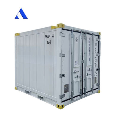 10 pieds DNV 2.7-1 Container standard congélateur réfrigéré en mer congelé Reefer réfrigéré avec certificat CSC et angle de la jambe de la lance Max 45 degrés