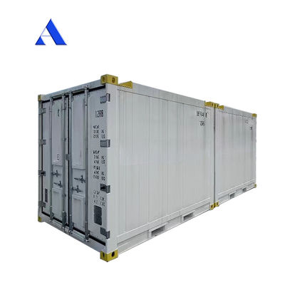 10 pieds DNV 2.7-1 Container standard congélateur réfrigéré en mer congelé Reefer réfrigéré avec certificat CSC et angle de la jambe de la lance Max 45 degrés