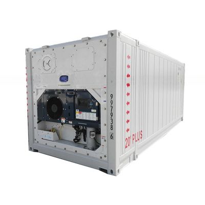 Dimension personnalisée 23ft BV Container de stockage de réfrigérateur certifié -30- 30C Plage de température 380/440V