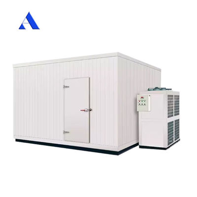 4x2.2x2.5m Mobile 13ft mini potable réfrigérée congélateur et réfrigérateur conteneur de stockage à froid avec plancher en aluminium T-Bar