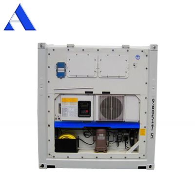 Container d'hébergement de récifs offshore en acier inoxydable de 10 pieds certifié DNV avec unité de refroidissement Thermo King
