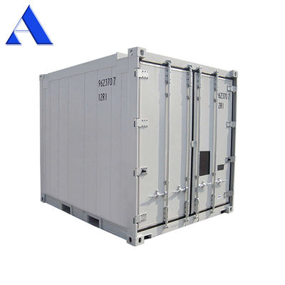 Container d'hébergement de récifs offshore en acier inoxydable de 10 pieds certifié DNV avec unité de refroidissement Thermo King