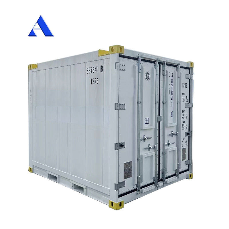 10 pieds DNV 2.7-1 Container standard congélateur réfrigéré en mer congelé Reefer réfrigéré avec certificat CSC et angle de la jambe de la lance Max 45 degrés