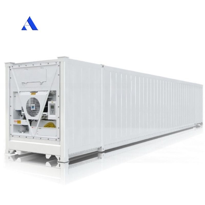 53 pieds réfrigérateur congélateur salle de stockage à froid 53 pieds 53 pieds conteneurs Reefer à Dubaï Température la plus basse -30 C