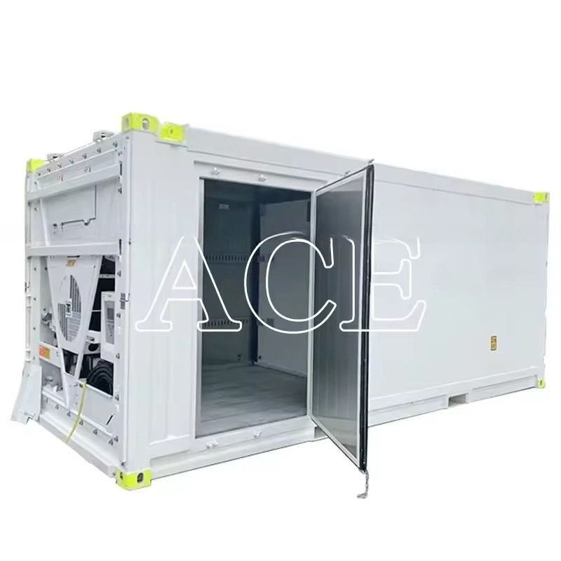 Container sec offshore à double température de 20 pieds HGSS