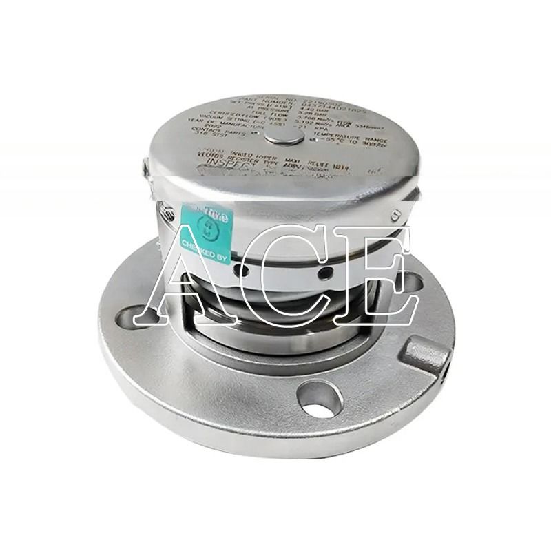 Valve de soulagement de pression en acier inoxydable à flanc de 2,5&quot; BSP pour les vannes de décharge d'air sous vide dans les pièces des réservoirs ISO
